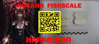 стаф Гай