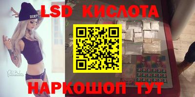 стаф Гай