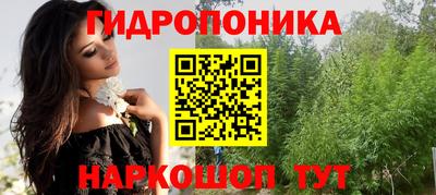 стаф Гай