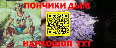 spice Гатчина