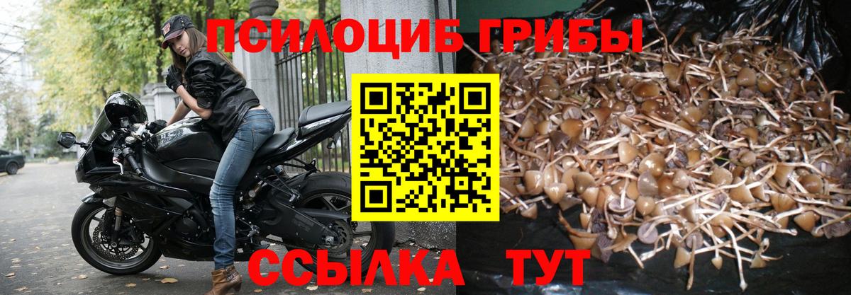 Псилоцибиновые грибы мухоморы Гагарин
